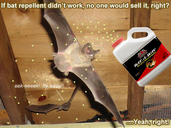 Bat Repellent Natural Home Remedy